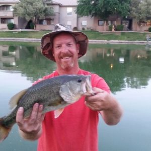 Meet your Posher, Ross